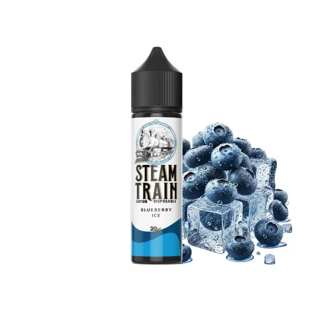 Steam Train Disposable Edition Flavor Shots Blueberry Ice 20ml to 60ml