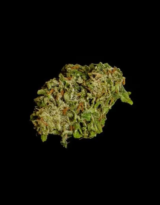Royal Queen Seeds - Hyperion F1 - 3 seeds 3
