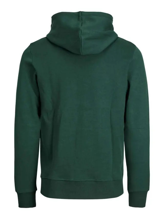 JJEBASIC SWEAT ZIP HOOD NOOS Pine Grove 3