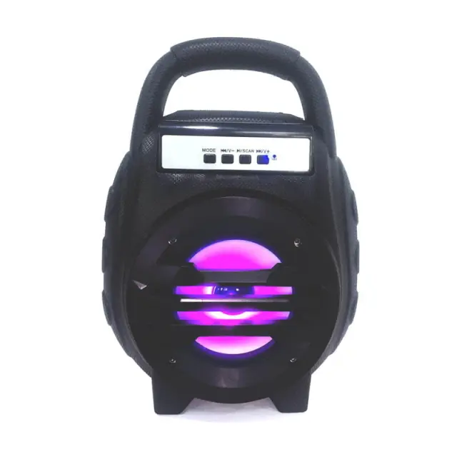 JI IW CS-13 φορητό ηχείο 25cm με USB - Portable speaker 3095 2