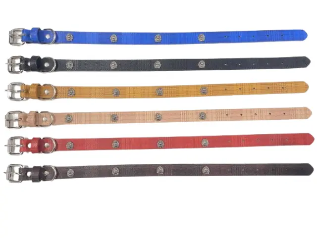 Περιλαίμιο - Κολάρο σκύλου - 3x56cm - 12pcs - 550186