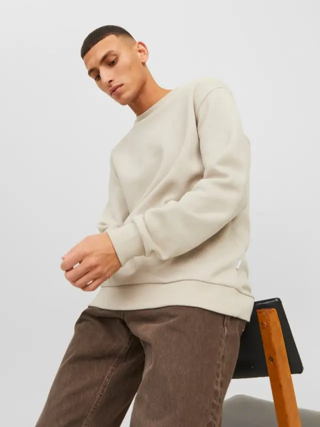 JJEBRADLEY SWEAT CREW NOOS - Moonbeam 3