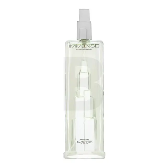 Scherrer Immense Homme Eau de Toilette for men 100 ml