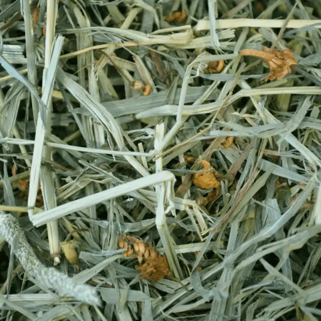 Oxbow Botanical Hay - Αρωματικό Χόρτο Βοτάνων - 425g 3