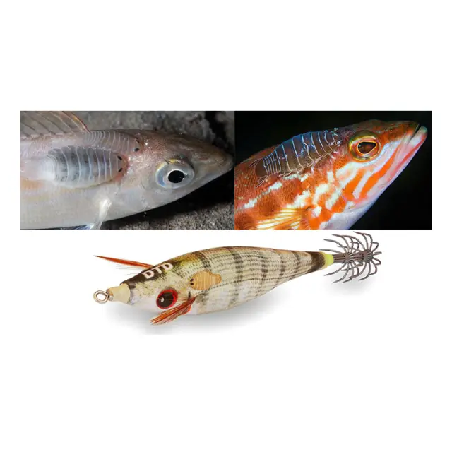 Καλαμαριέρα DTD Real Fish Bukva 1.5 Mackerel 2
