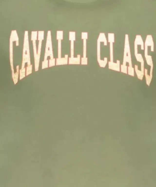 Cavalli Class - Ανδρική Μπλούζα T-Shirt Κοντομάνικη Short Sleeve TXT61AJD060-04050 Λαδί 3