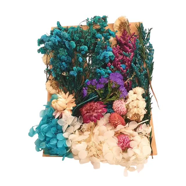 Αποξηραμένα λουλούδια mix, Turquoise