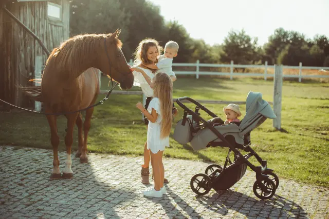 MILU KIDS ΣΥΣΤΗΜΑ ΜΕΤΑΦΟΡΑΣ ATTESO LEDO 2 IN 1 COL 04 2
