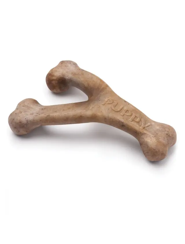 Benebone Puppy Wishbone Bacon S 13cm 854111004729