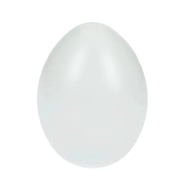 Αυγό Πλαστικό 40x60mm - White