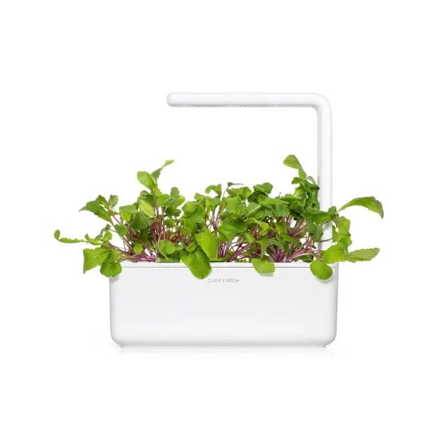 Click and Grow Συσκευασία Σπόρων με Χώμα, για Ραπανάκι (Φύλλα) – 3τμχ 2