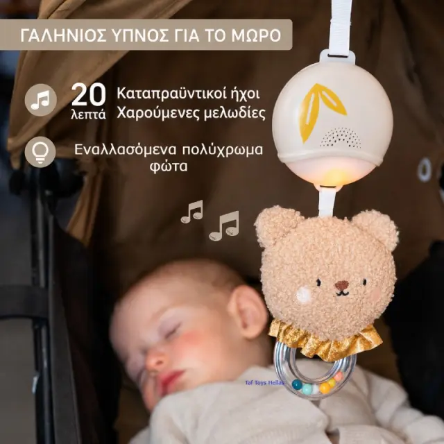 Taf Toys Bear musical toy 2