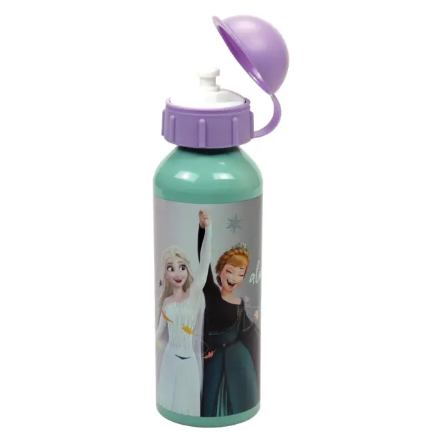 Παγούρι αλουμινίου με στόμιο Disney Frozen 520ml 2