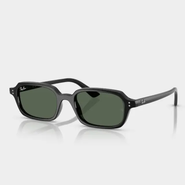 Γυαλιά Ηλίου Ray Ban RB4455 667771 Μαύρο - 52