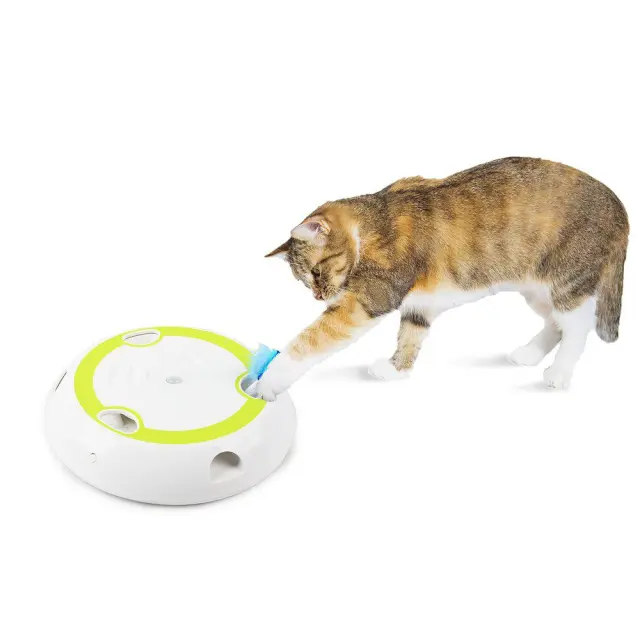 All For Paws Cat Toy Interactive WackAFeather 27X27X55Cm 7877562 Pet Supplies