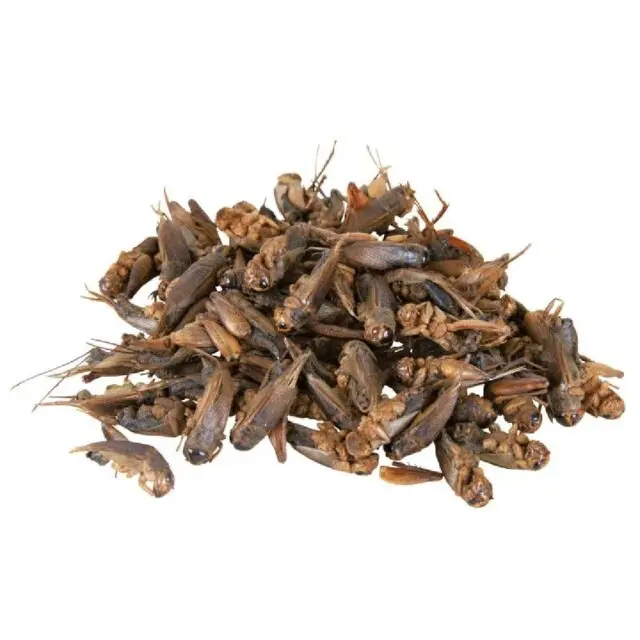 Trixie Αποξηραμένοι Γρύλοι 25gr 2