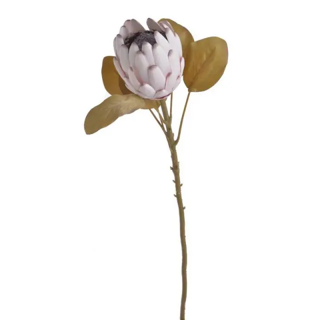 Πρωτέα λουλούδι ανοιχτό, ροζ 66cm,