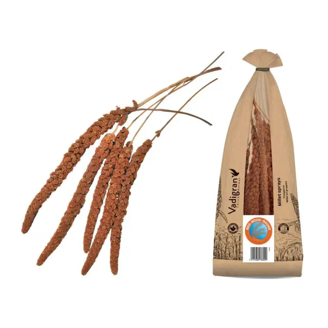 Vadigran French Millet Sprays Red Κλαδιά Μίλετ 400gr 2