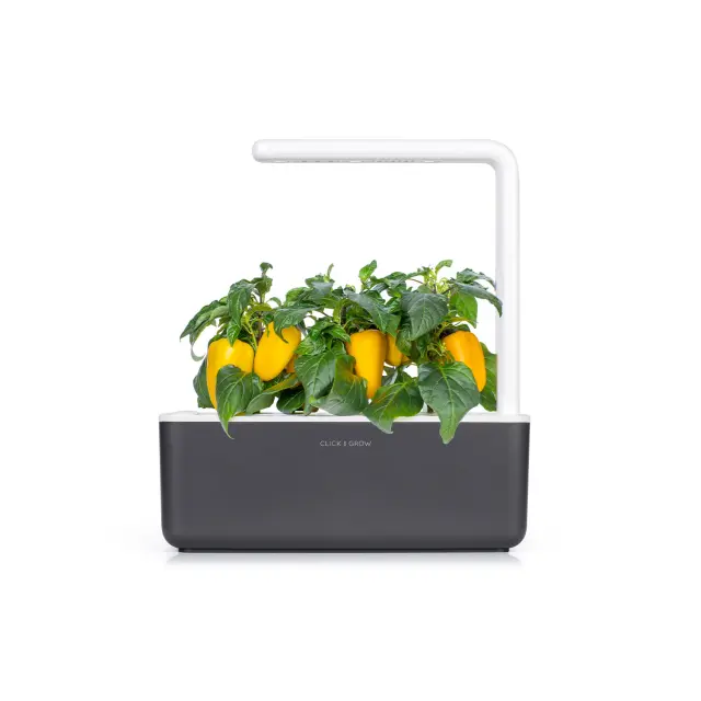 Click and Grow Συσκευασία Σπόρων με Χώμα, για Κίτρινη Πιπεριά – 3τμχ 2