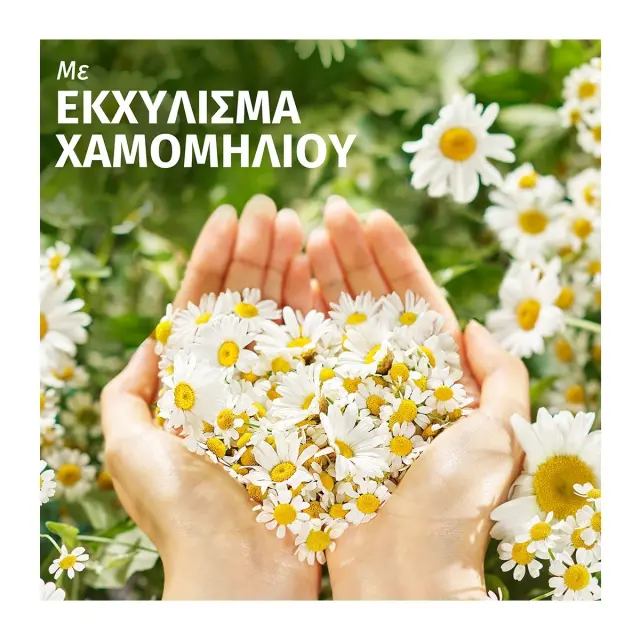 Herbal Εssences Σαμπουάν Chamomile 350ml 3