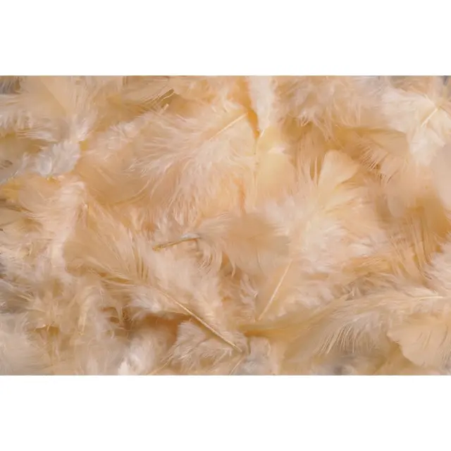 Φτερά πακέτο 10gr, peach