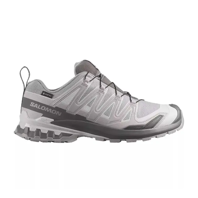 Salomon Men's XA Pro 3D V9 Gore-Tex Γκρι 491991 (Salomon)