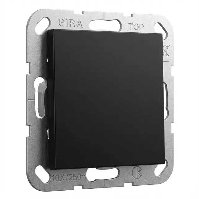 blank cov.pl. sup.ring System 55 black m