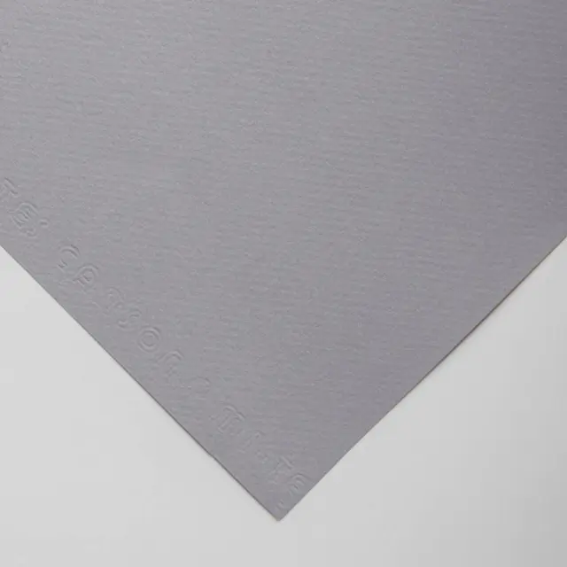 Χαρτόνι Canson Mi-Teintes 160g/m² 65x50cm - 122 Flannel Grey