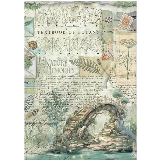 Ριζόχαρτο ντεκουπάζ Stamperia 21x29cm A4, Herbarium Silvae, Λιμνούλα
