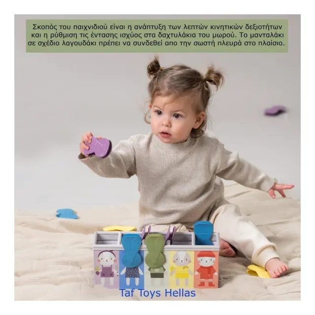 Εκπαιδευτικό Παιχνίδι Δραστηριοτήτων Taf Toys Bunny School Match & Count T-13215 2