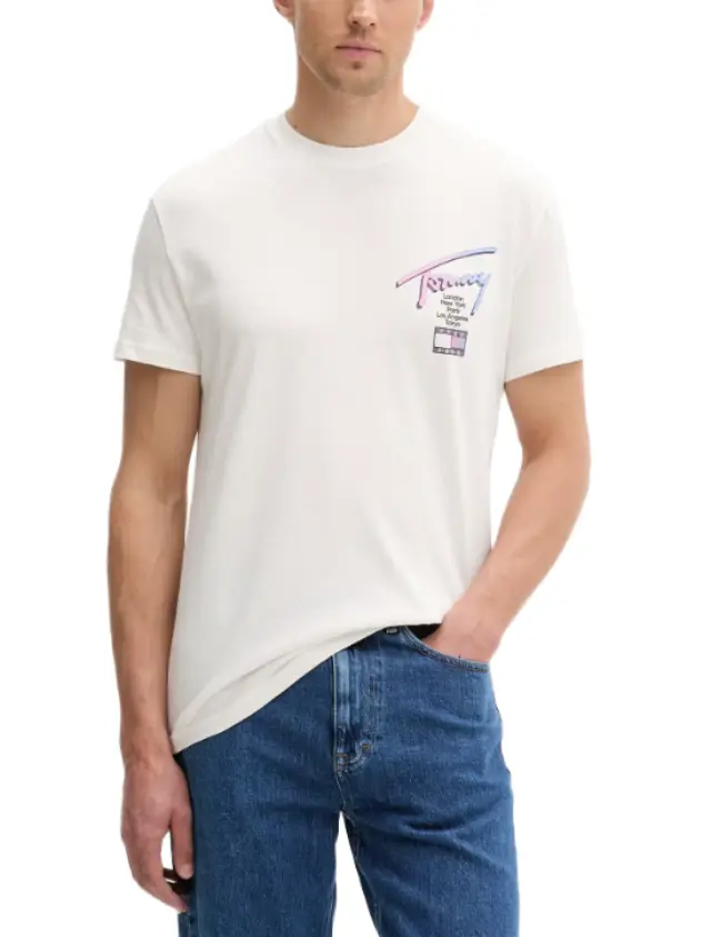 TommyHilfiger ανδρικό t-shirt με λογότυπο DM0DM23253-2 - L