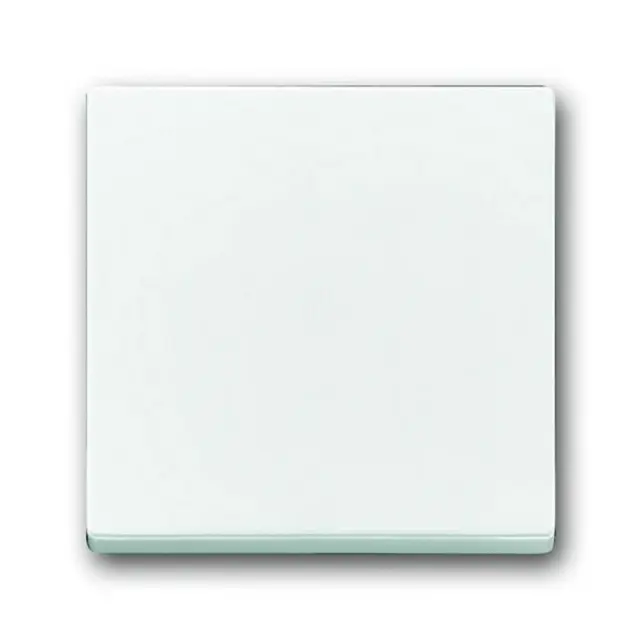 1786-84 CoverPlates (partly incl. Insert) future®, Busch-axcent®, solo®; carat® Studio white