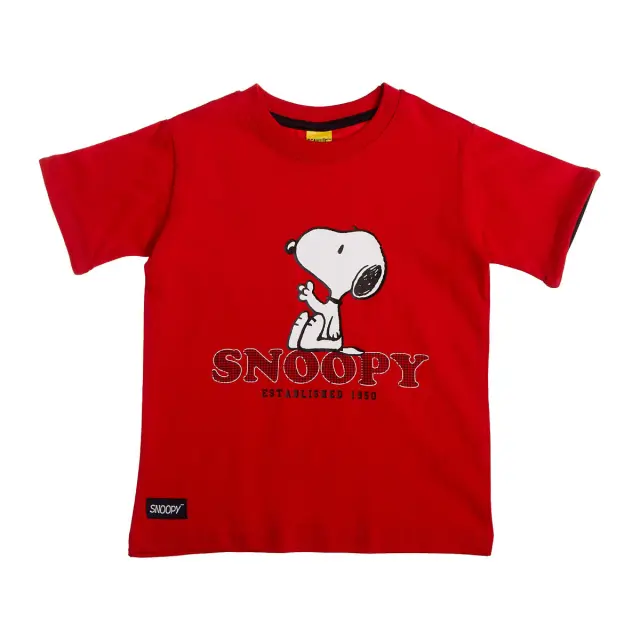 Σετ Snoopy με ανάγλυφα στοιχεία 2