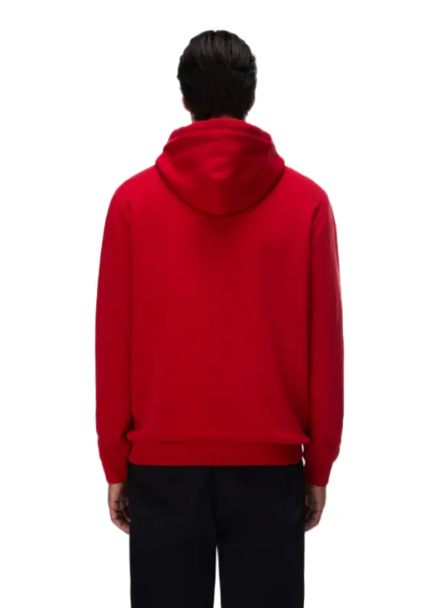 Napapijri - Ανδρικό Φούτερ Με Κουκούλα B-Box Logo NP0A8BLT-R1F Κόκκινο 2