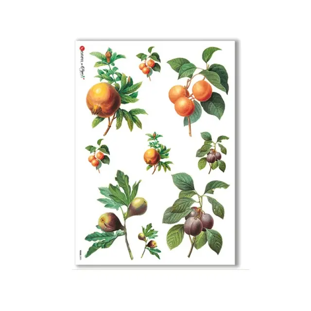 Ριζόχαρτο για Decoupage PaperD, Ρόδια και καρποί, 30x40cm