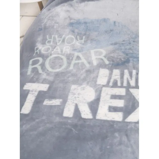 Κουβέρτα 160x220 Μονή Βελουτέ Nima Roar Blue 100% Πολυέστερ 2