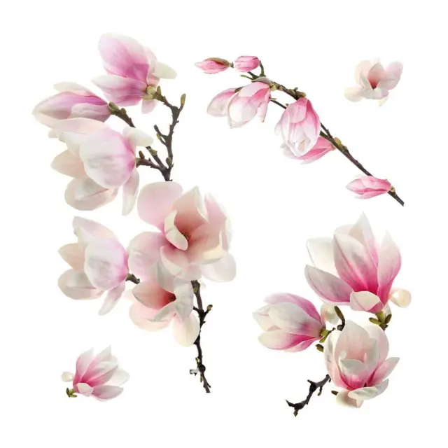 Αυτοκόλλητα Βινυλίου για Τζάμι Ango Magnolia 64006 3