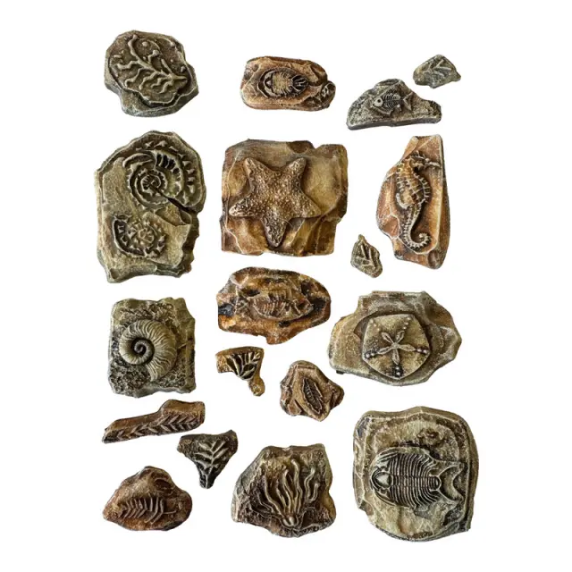 Καλούπι εύκαμπτο A5, 21x14.8cm, Stamperia, Silent Sea, Shells 3