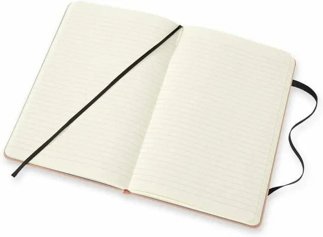 ONE PIECE L RULED RUBBER (Moleskine) 2