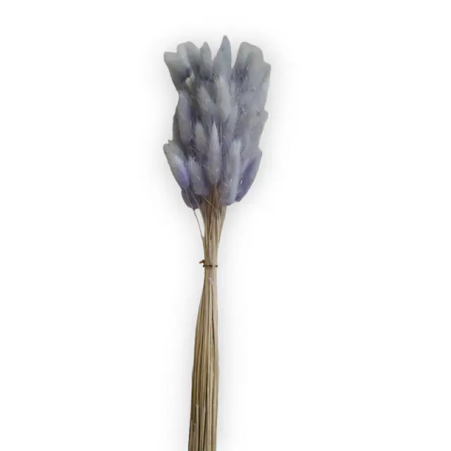 Μπουκέτο κλαδιά Lagurus, 65cm, ανοιχτό μωβ