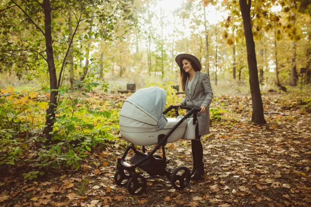 MILU KIDS ΣΥΣΤΗΜΑ ΜΕΤΑΦΟΡΑΣ STARLET EKO 2 IN 1 KHAKI 2