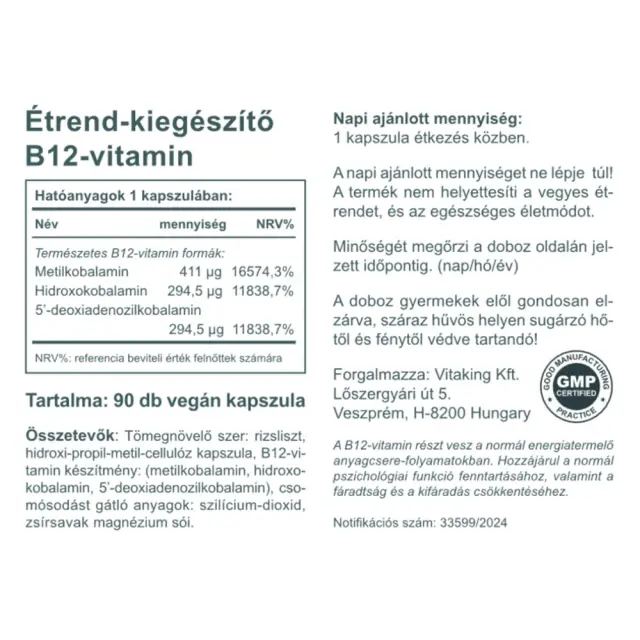 Vitaking Active Vitamin B12 1000 mcg 2