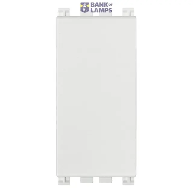 Blank module white