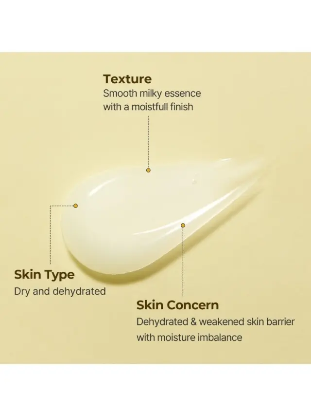 Torriden SOLID IN All Day Essence 100ml- Essence βαθιάς ενυδάτωσης με 5 τύπους κεραμιδιών 3