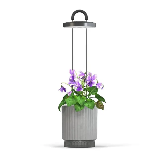 Click and Grow HydroVase - Αυτοποτιζόμενο Γλαστράκι με Φωτισμό Grey