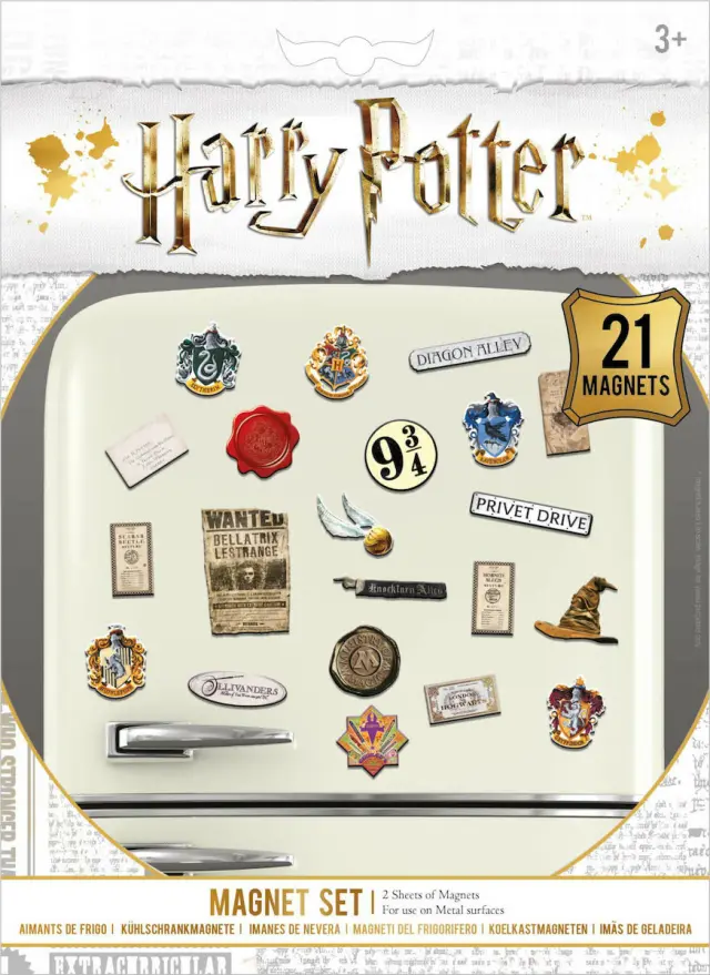 Harry Potter Σετ Μαγνητάκια Μεταλλικά 21τμχ