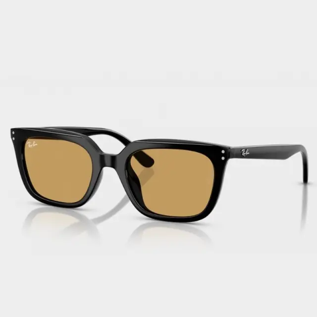 Γυαλιά Ηλίου Ray Ban RB4439D 901/73 Μαύρο - 54