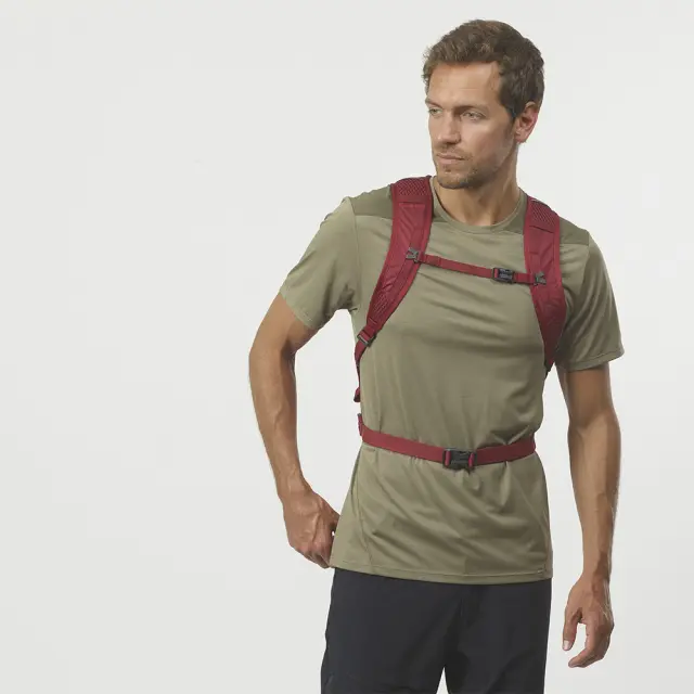 Salomon Adult Unisex Trailblazer 10lt Backpack Κόκκινο C20595 (Salomon) - One Size 2