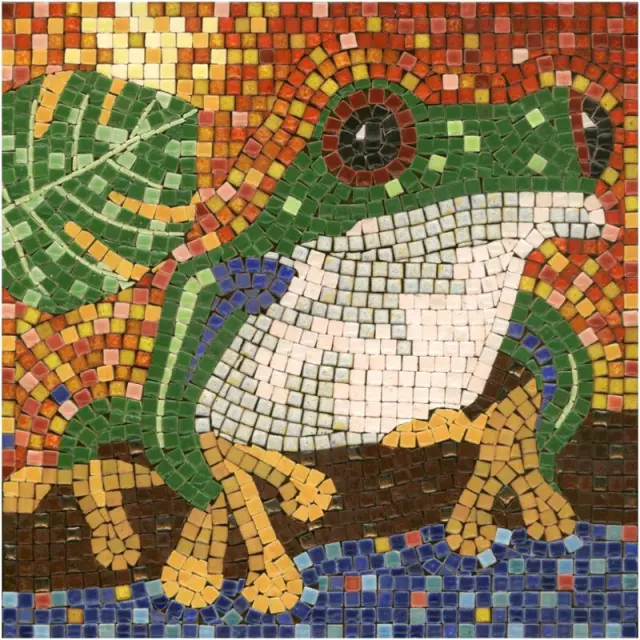 Σετ Με Μίνι Κεραμικές Ψηφίδες 20x20cm, Frog