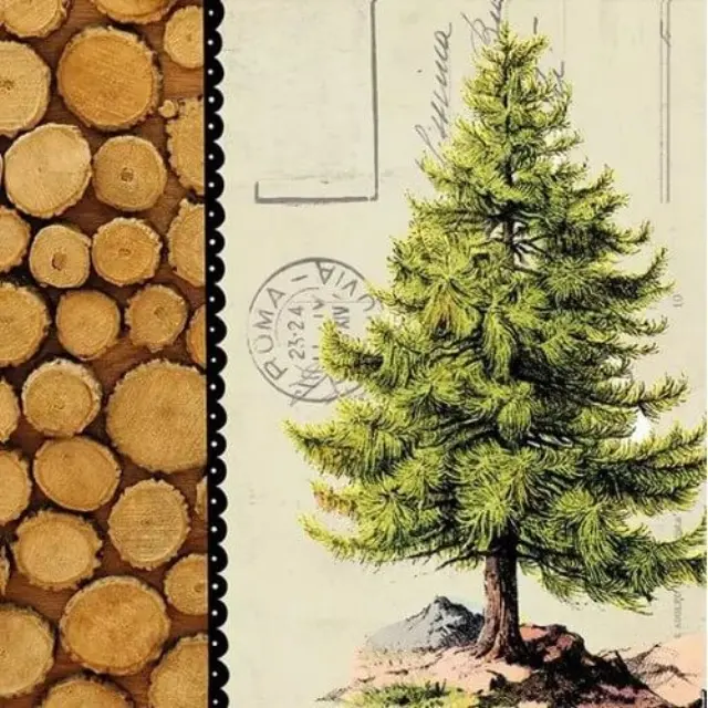 Χαρτοπετσέτα χριστουγεννιάτικη για decoupage, Pine Tree ,1 τεμ.